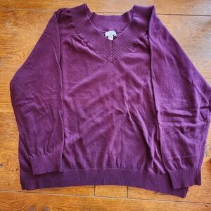 J Jill V- Neck Sweater